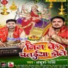 Aasara Lagake Sabhe Jai Jai Bole Nim Ke Pataiya Dole