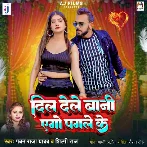 Dil Dele Bani Ago Pagle Ke (Pawan Raja Yadav, Shilpi Raj)