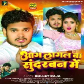 Aag Lagal Ba Sundarban Me (Bullet Raja) 2024 Mp3 Song 