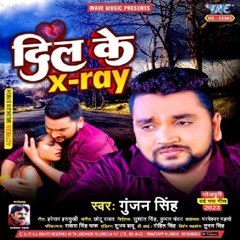 Dil Ke Xray (Gunjan Singh)