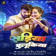 Sariya Bulukiya (Pawan Singh, Shivani Singh) 2024 Mp3 Song