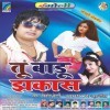 A Raja Bahra Se Aa Jaita Ghare