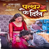 Pathar Ke Dil (Dhananjay Dhadkan) 2024 Mp3 Song 