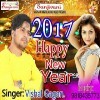 2017 Happy New Year