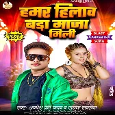 Hamar Hilaw Bada Maza Mili (Awdhesh Premi Yadav) 2024 Mp3 Song