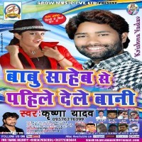 Babu Saheb Se Pahile Dele Bani