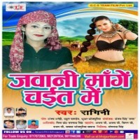Jawani Mange Chait Me