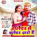 Salendar Me Balendar Dharo Hai (Raushan Rohi)