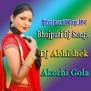 Saari Duniya Me Re Muniya Choli Ke Tora Ba Charcha Bhojpuri Mix (Ritesh Pandey)