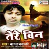 Tere Bin Main Kaise