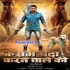 Khesariya Holi Me Hilake