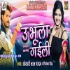 Milte Marad Hamke Bhul Gailu