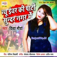 New Year Ke Party Sundar Nagar Me
