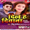 Dil Hai Diwana (Mithu Marshal)