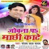 Kata Tate Raja Jobanwa Pe Machhi