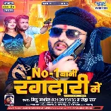 No-1 Bani Rangdaari Me