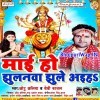 Jhulanwa Jhule Aiha Sato Bahini Ke Sanghwa