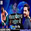Rowata Diwana Naihar Me