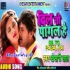 Dil To Pagal Hai