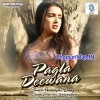 Pagla Deewana