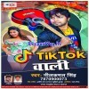Tik Tok Wali