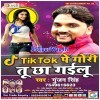 Tik Tok Pe Gori Tu Chhawale Badu