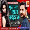 Bhool Ja Pyar Naihar