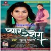 Pyar Ka Rog Lagake Dil Se