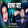 Aisan Kehu Ke Mile Na Bewafa Yaar