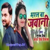 Bharal Ba Jawani
