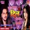 Dil Ro Raha Hai Unhe Yaad Kar Ke