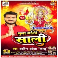 Bhula Gaili Saali