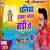 Dhaniya Hamar Naya Baadi Ho (Pawan Singh)