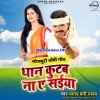 Dhan Pitab Na Ae Saiya