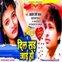 Dil Sad Jai Ho