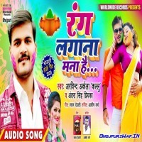 Rang Lagana Mana Hai