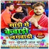 Ae Balam Ji Saree Me Kewadi Lagwadi