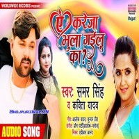 Ae Kareja Bhula Gailu Ka