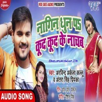 Nagin Dhun Pa Kud Kud Ke Nachab