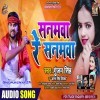 Sanamwa Tu Ta Badi Dhokebaaz