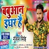 Babuaan Idhar Hai