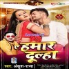 Ae Hamar Dulha