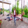 Nirahua Chalal London Trailer Full HD
